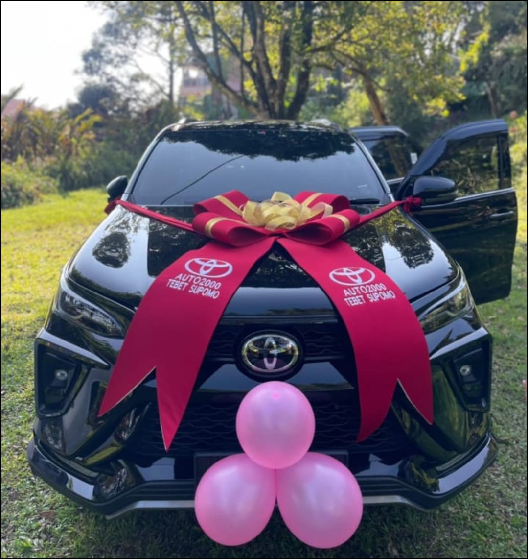 Pita Mobil besar sun flowe